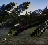 Stargazing Busselton with Mobile Observatory - Accommodation Sunshine Coast
