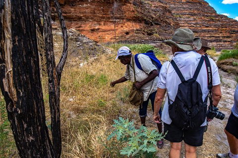 Bungles Day Trek - Accommodation Sunshine Coast 3