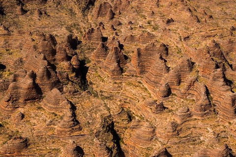 Bungles Day Trek - Accommodation Sunshine Coast 7