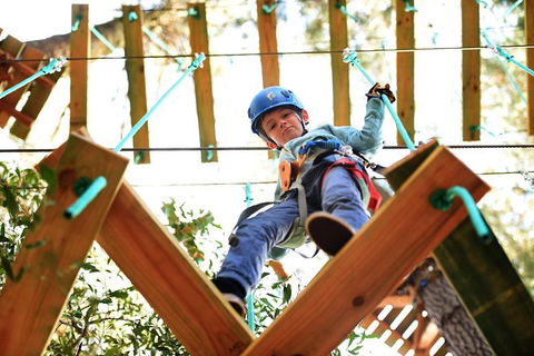 Trees Adventure Lane Poole Park - Treetop & Zipline Experience - Accommodation Sunshine Coast 1