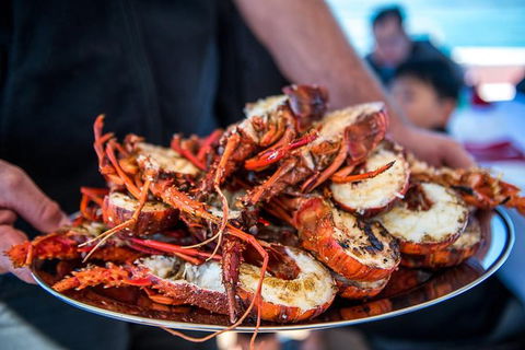 Mandurah Wild Seafood Adventure Cruise - Accommodation Sunshine Coast 1