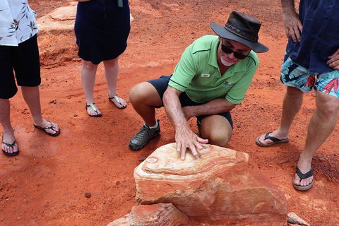 Broome Panoramic Town Tour - All The Extraordinary Sights And History Of Broome - Accommodation Sunshine Coast 10