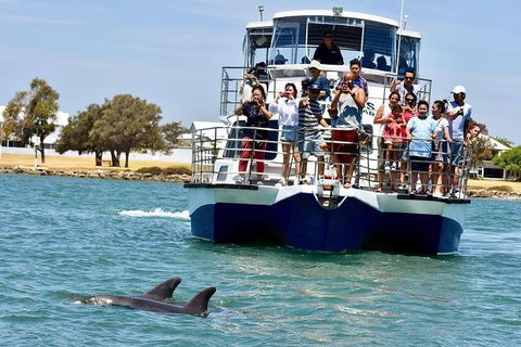 Mandurah Dolphin And Scenic Marine Cruise - Accommodation Sunshine Coast 0