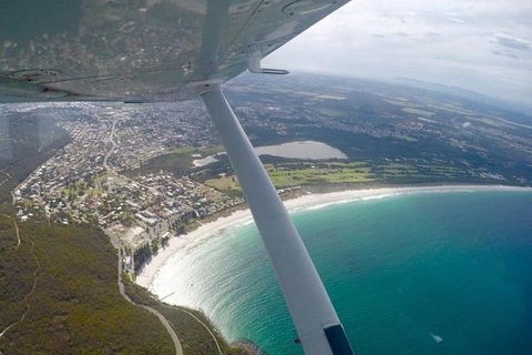 Bunbury Dolphins Discovery Tour - Fly From Perth - Accommodation Sunshine Coast 5