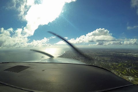 Bunbury Dolphins Discovery Tour - Fly From Perth - Accommodation Sunshine Coast 4