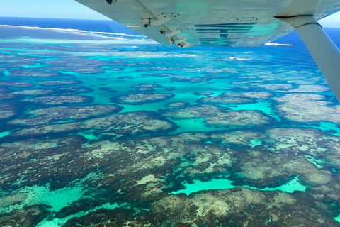 Kalbarri, Pink Lake And Abrolhos Islands Nature Tour - Accommodation Sunshine Coast 5
