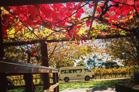 Ultimate Swan Valley Food And Wine Day Trip From Perth - Accommodation Sunshine Coast 12