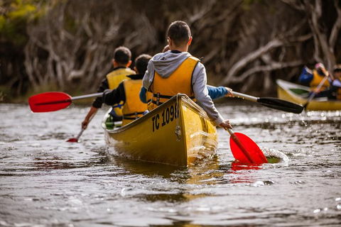 Margaret River Canoe Tour Including Lunch - Accommodation Sunshine Coast 15