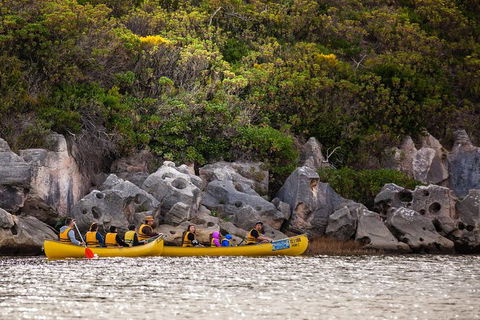 Margaret River Canoe Tour Including Lunch - Accommodation Sunshine Coast 9