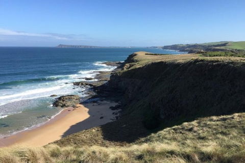 George Bass Coastal Walk - Accommodation Sunshine Coast 1