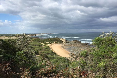George Bass Coastal Walk - Accommodation Sunshine Coast 7