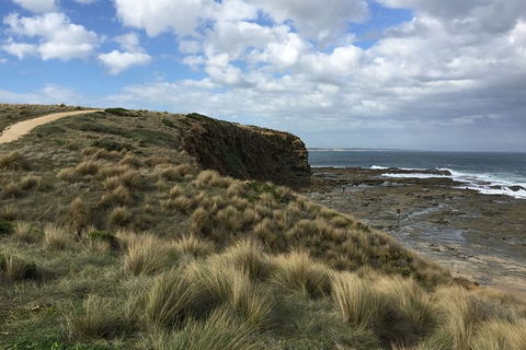 George Bass Coastal Walk - Accommodation Sunshine Coast 8