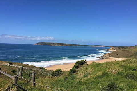 George Bass Coastal Walk - Accommodation Sunshine Coast 5