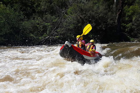White-Water Kayaking On The Yarra River - Accommodation Sunshine Coast 1