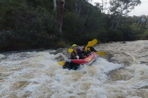 White-Water Kayaking On The Yarra River - Accommodation Sunshine Coast 5