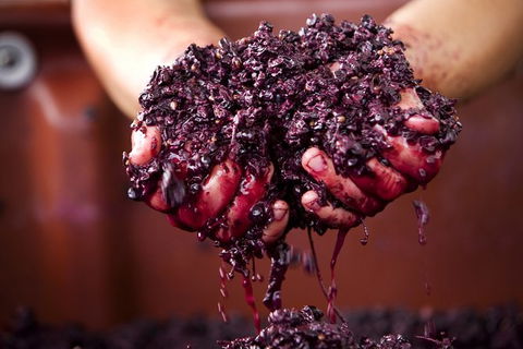 Yarra Valley Local Produce And Wine Tasting Tour - Accommodation Sunshine Coast 7