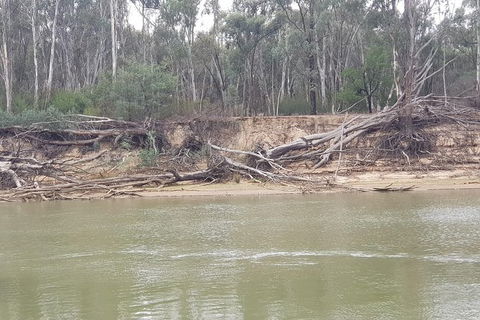 Bendigo, Echuca & The Mighty Murray - Accommodation Sunshine Coast 30