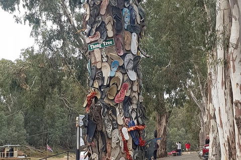 Bendigo, Echuca & The Mighty Murray - Accommodation Sunshine Coast 6