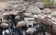 Bendigo, Echuca & The Mighty Murray - thumb 27