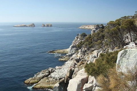 Great Walks Of Australia: 4-Day Freycinet Experience Walk - Accommodation Sunshine Coast 10