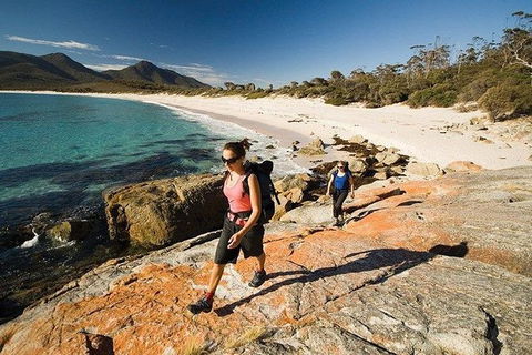Great Walks Of Australia: 4-Day Freycinet Experience Walk - Accommodation Sunshine Coast 5
