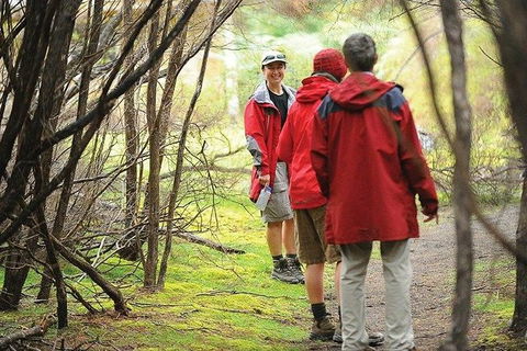 Great Walks Of Australia: 4-Day Freycinet Experience Walk - Accommodation Sunshine Coast 7