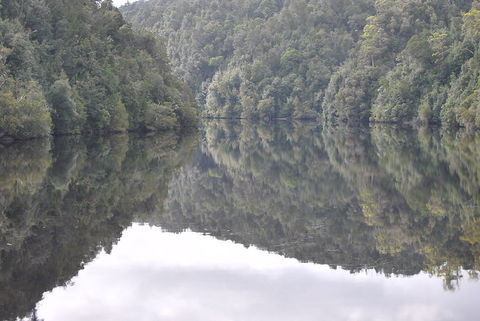 Gordon River Cruise Departing From Strahan - Accommodation Sunshine Coast 17