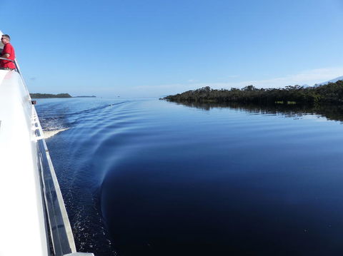 Gordon River Cruise Departing From Strahan - Accommodation Sunshine Coast 3