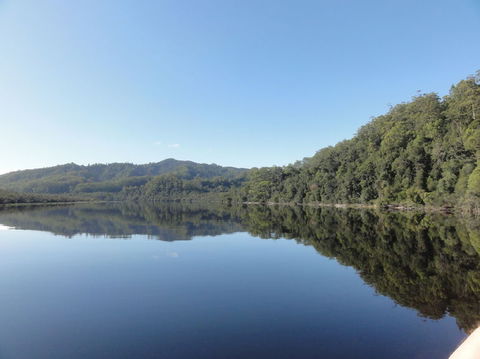 Gordon River Cruise Departing From Strahan - Accommodation Sunshine Coast 7