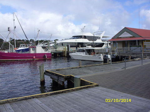 Gordon River Cruise Departing From Strahan - Accommodation Sunshine Coast 14