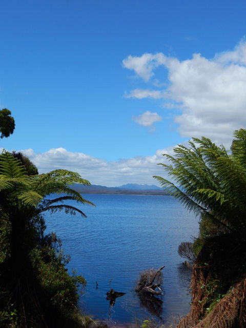 Gordon River Cruise Departing From Strahan - Accommodation Sunshine Coast 20