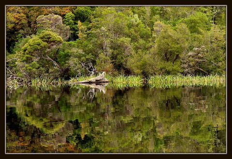 Gordon River Cruise Departing From Strahan - Accommodation Sunshine Coast 12