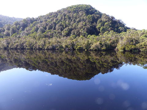 Gordon River Cruise Departing From Strahan - Accommodation Sunshine Coast 4