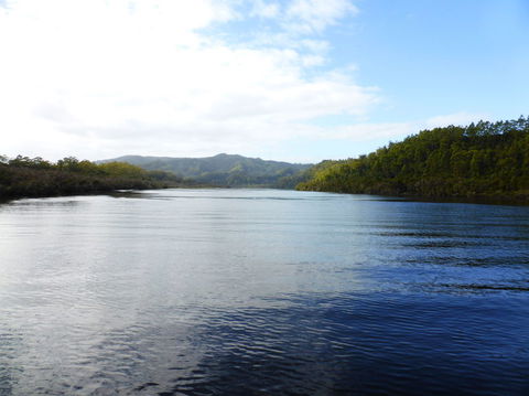 Gordon River Cruise Departing From Strahan - Accommodation Sunshine Coast 10