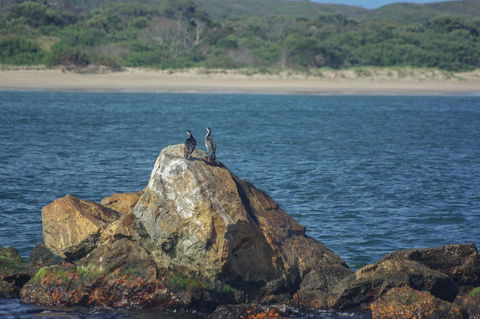 Gordon River Cruise Departing From Strahan - Accommodation Sunshine Coast 11