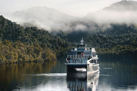 Gordon River Cruise Departing From Strahan - Accommodation Sunshine Coast 35