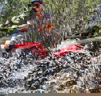 Quad Bike 2-Hour Adventure Freycinet National Park - Accommodation Sunshine Coast