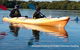 Adelaide Dolphin Sanctuary And Ships Graveyard Kayak Tour - thumb 0
