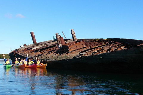 Adelaide Dolphin Sanctuary And Ships Graveyard Kayak Tour - Accommodation Sunshine Coast 1