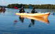 Adelaide Dolphin Sanctuary And Ships Graveyard Kayak Tour - thumb 3