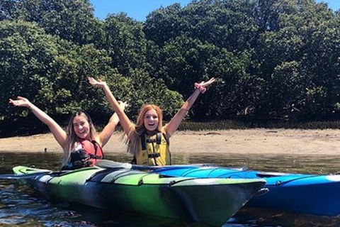 Adelaide Dolphin Sanctuary And Ships Graveyard Kayak Tour - Accommodation Sunshine Coast 4
