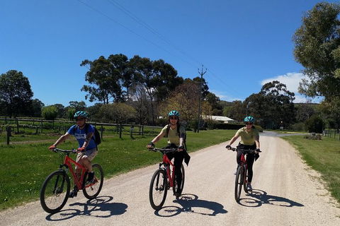 McLaren Vale Wine Tour By Bike - Accommodation Sunshine Coast 8