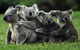 Barossa Private Group 1-13 Tour To Barossa Valley Or McLaren Vale From Adelaide - thumb 35