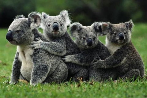 Barossa Private Group 1-13 Tour To Barossa Valley Or McLaren Vale From Adelaide - Accommodation Sunshine Coast 35