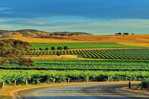 Barossa Private Group 1-13 Tour To Barossa Valley Or McLaren Vale From Adelaide - Accommodation Sunshine Coast 37
