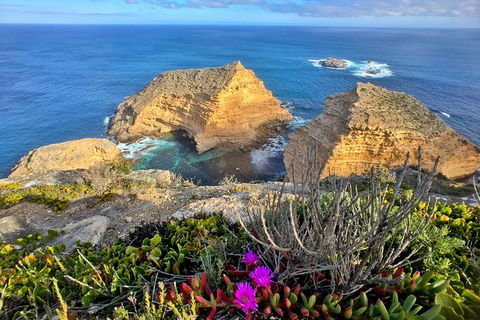 One Day Port Lincoln Tour - Tasting Eyre - Accommodation Sunshine Coast 1