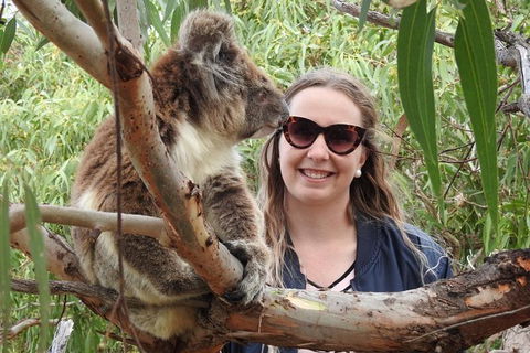 One Day Port Lincoln Tour - Tasting Eyre - Accommodation Sunshine Coast 0