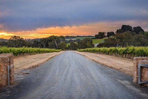 The Ultimate Shottesbrooke Wine & Food Experience - Accommodation Sunshine Coast 0