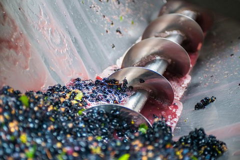 The Ultimate Shottesbrooke Wine & Food Experience - Accommodation Sunshine Coast 9