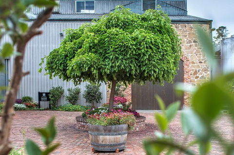 The Ultimate Shottesbrooke Wine & Food Experience - Accommodation Sunshine Coast 4